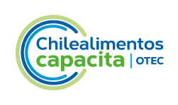 Chile Alimentos
